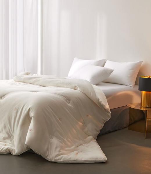 牛奶大豆养颜被 大豆被 被子 冬被 被芯 商品图5