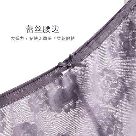雅黛丽女士内裤低腰平角裤纯棉底裆透气舒适网纱5条装底裤 商品图3
