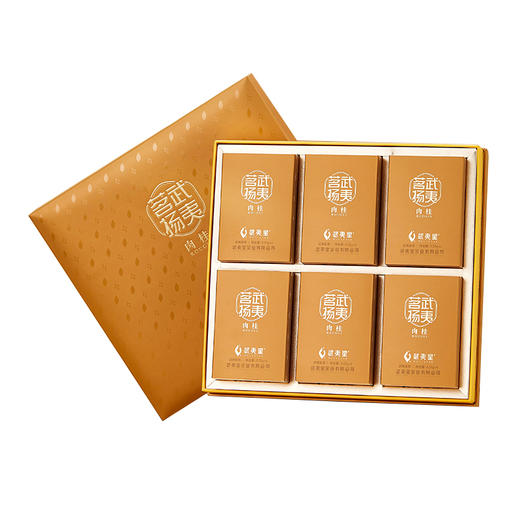 武夷星茗扬特级五星果香岩茶肉桂茶礼盒装乌龙茶叶199g送礼 商品图0