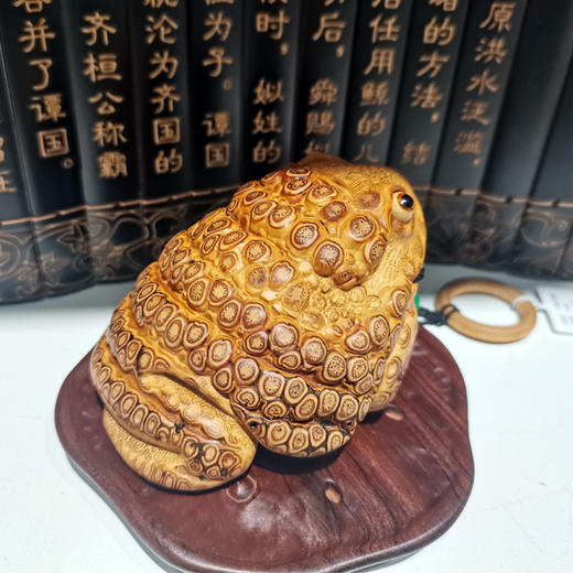 普工金蟾 商品图2