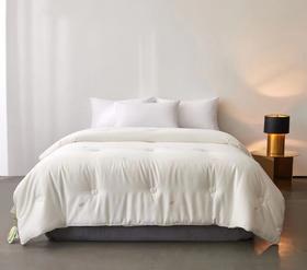 牛奶大豆养颜被 大豆被 被子 冬被 被芯