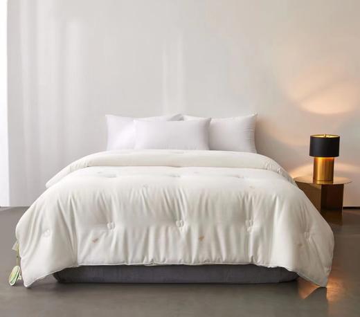 牛奶大豆养颜被 大豆被 被子 冬被 被芯 商品图0