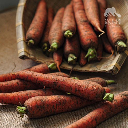 生态胡萝卜 | 合作生产*Eco-carrot | Coproduction 商品图0