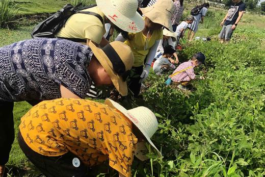 9.20中秋拔花生、野米饭、手做团扇（花好月圆）开始报名啦 商品图13