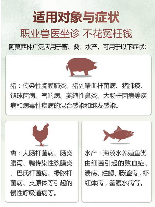 【先乐】巨龙动保先乐10%阿莫西林可溶性粉100g/500g 商品图2