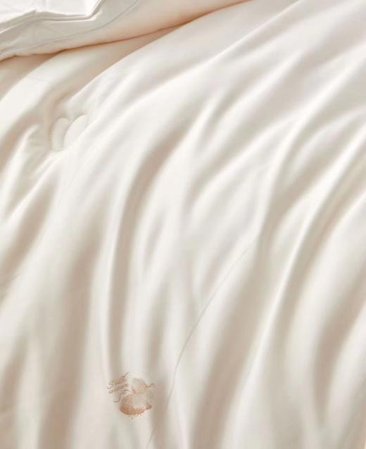 蚕丝大豆润养被 被子 冬被  被芯 商品图4