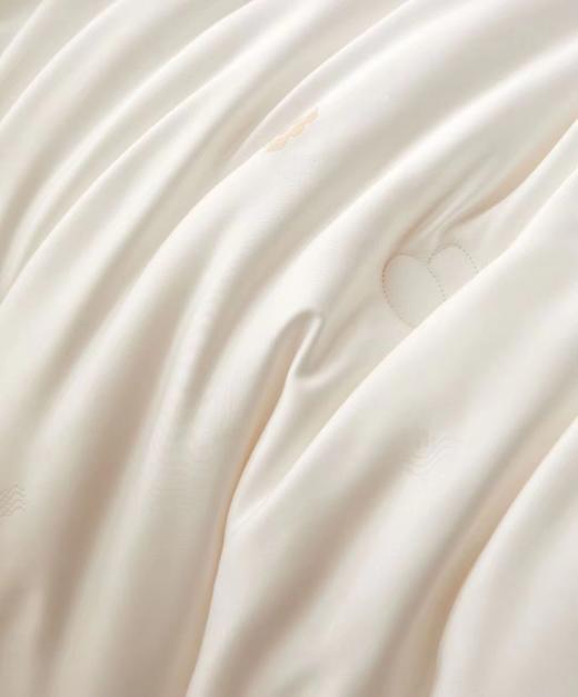 牛奶大豆养颜被 大豆被 被子 冬被 被芯 商品图8