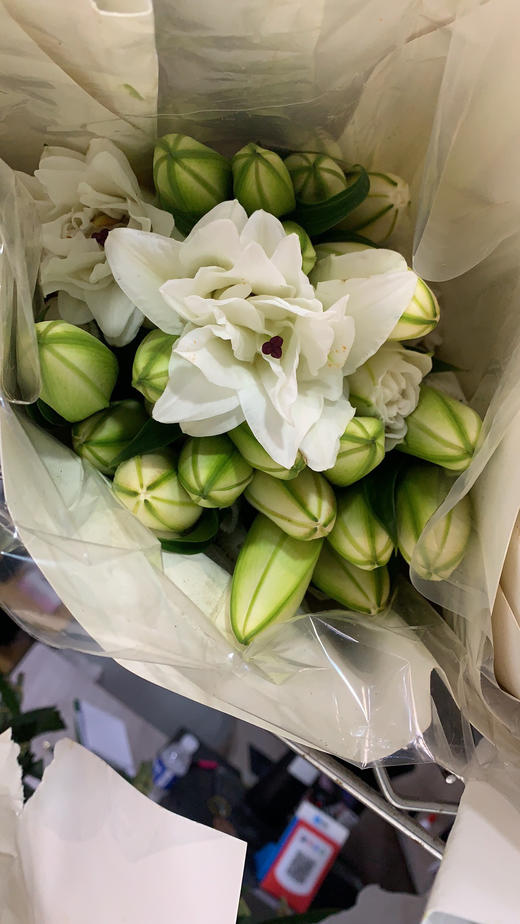 重瓣白百合双头 商品图1