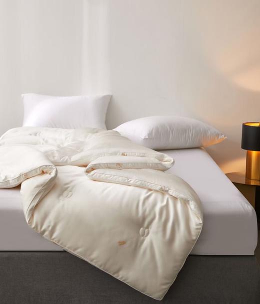 牛奶大豆养颜被 大豆被 被子 冬被 被芯 商品图4