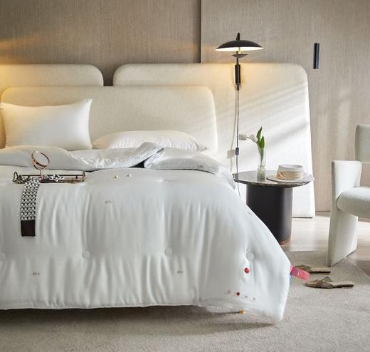 33°C度恒温冬被 春秋被 被子 被芯 商品图1