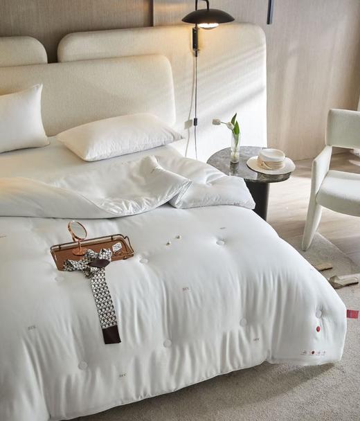 33°C度恒温冬被 春秋被 被子 被芯 商品图4