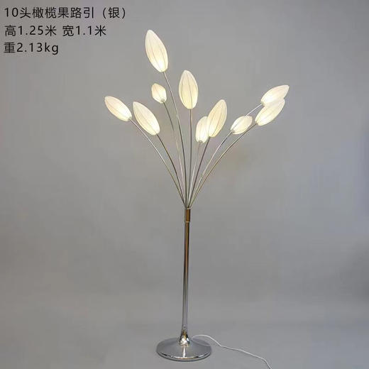 10头橄榄果路引【运费自理】 商品图0