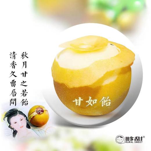 【下单后48小时左右发货】山东 青岛 莱西 秋月梨4.5斤装左右 商品图14