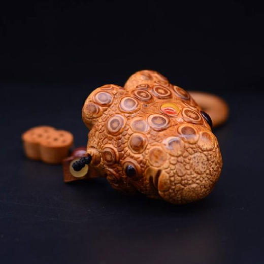 异形金蟾 商品图2