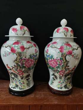 蔡昌辉：粉彩福寿双全将军罐