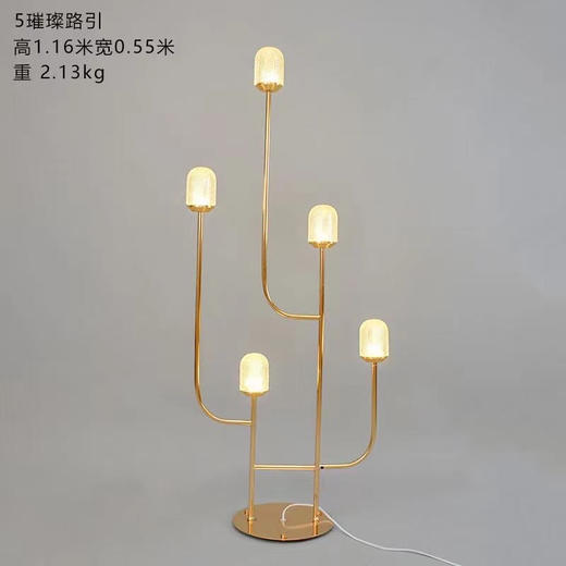 5头璀璨路引【运费自理】 商品图0