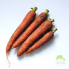 生态胡萝卜 | 合作生产*Eco-carrot | Coproduction 商品缩略图1