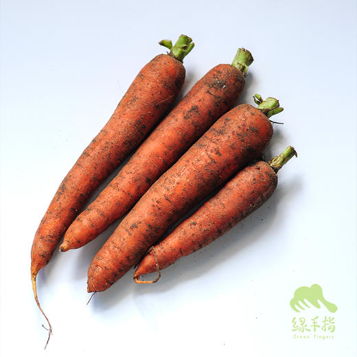 生态胡萝卜 | 合作生产*Eco-carrot | Coproduction 商品图1