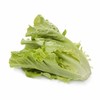 【蔬】生菜  一颗（约250g） 商品缩略图0