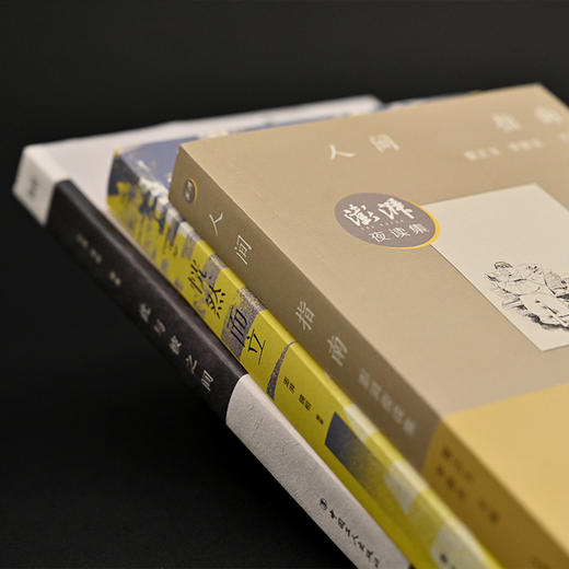 【澎湃书系】—《人间指南》《恍然而立》《此与彼之间》定制版典藏套装 商品图2