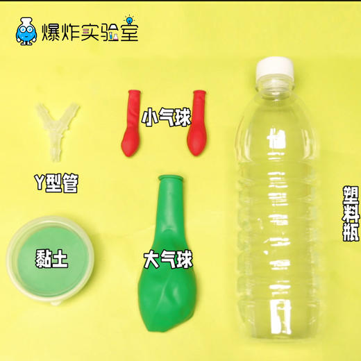 肺的呼吸 商品图1