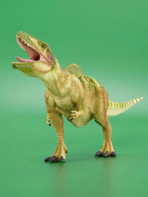 玩具Collecta我你他侏罗纪系列1：40高棘龙88718 商品图2