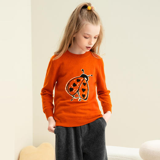 【瓢虫纯羊绒套衫】羊绒世家童装100%山羊绒瓢虫织花圆领套头针织毛衣 商品图1