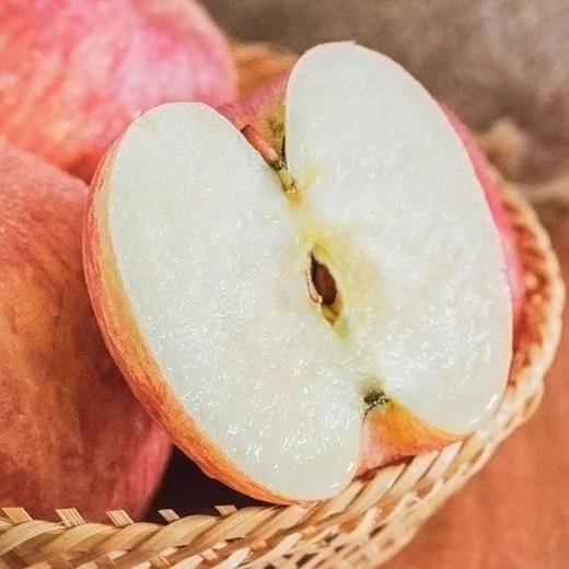 【果】俺爱山东100苹果 2个约600g 商品图6