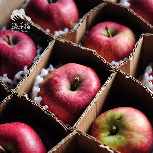 生态红星苹果 | 合作生产 *Eco- apple | Coproduction 商品图2