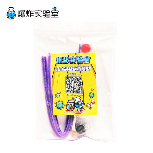 冠状病毒模型 商品图2