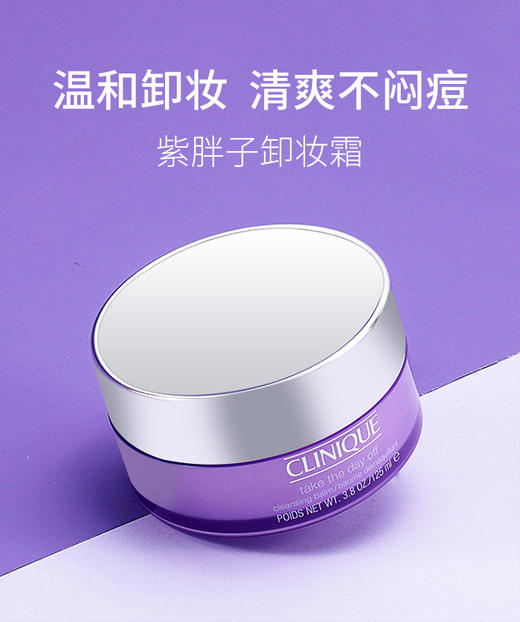 【中欧班列精选】  美国倩碧面部卸妆霜紫胖子125ml 
 YLPY 商品图0