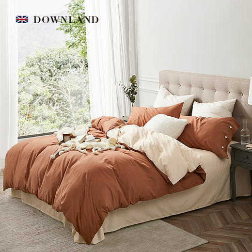 Downland Cosy Clean抑菌磨毛四件套 200*230cm[福利品] 商品图0