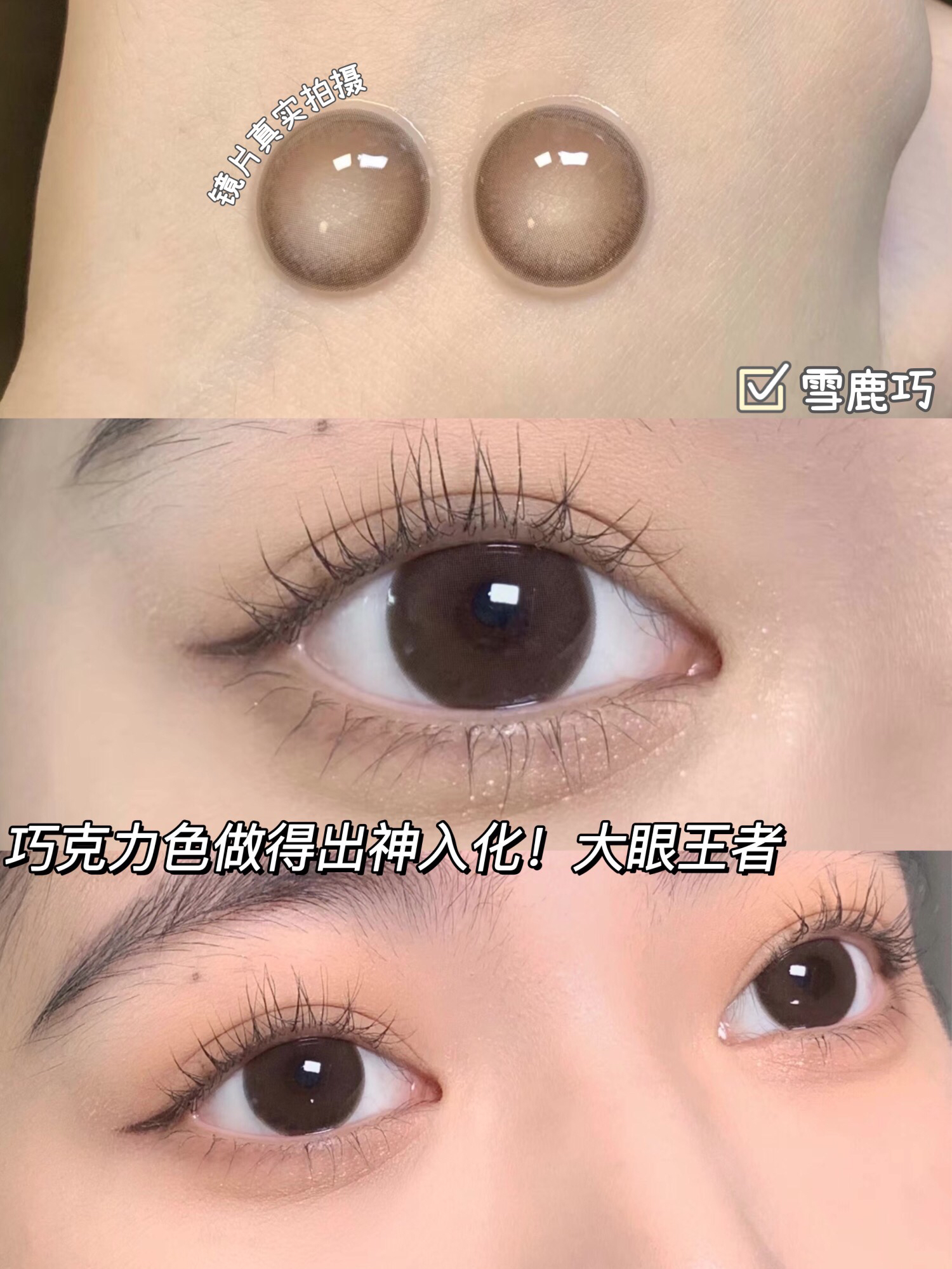 半年抛 Lilyanna 雪鹿巧克力 14.5 着色14.0