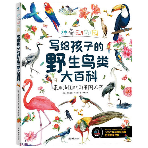 神奇动物园 写给孩子的野生鸟类大百科 8-14岁 弗洛里安·卢卡斯 著 童书科普 商品图1