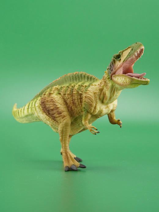 玩具Collecta我你他侏罗纪系列1：40高棘龙88718 商品图1
