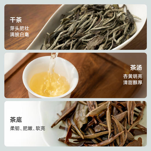 艺福堂 茶叶 福鼎原产 白牡丹特级  老白茶 三年陈 100g/罐 商品图2