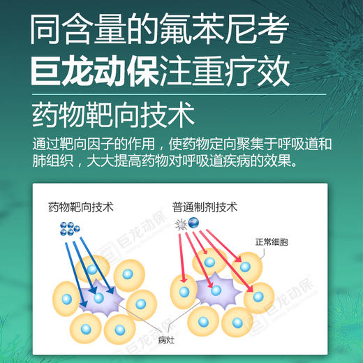 【氟考康】巨龙动保 30%氟苯尼考可溶性粉兽药禽药兽用药100/500g 商品图2