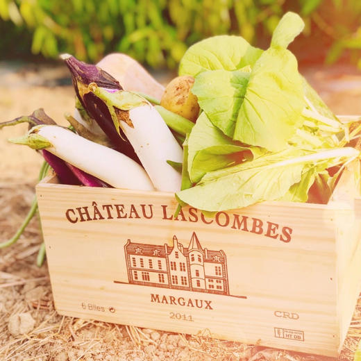 有机蔬菜礼盒    （品种随机搭配）（6份装4-6斤）广东省内包邮 商品图1