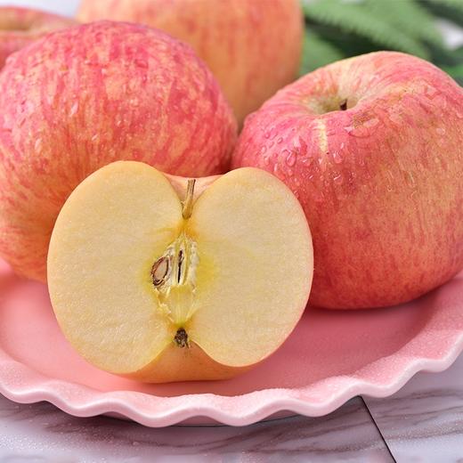 【果】俺爱山东100苹果 2个约600g 商品图4