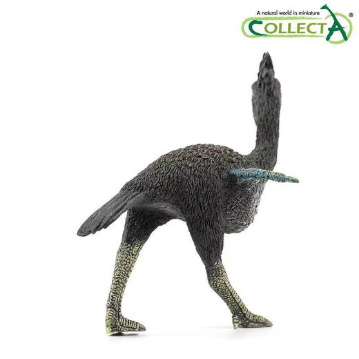 玩具Collecta我你他仿真史前动物1：20恐鸟88465 商品图2
