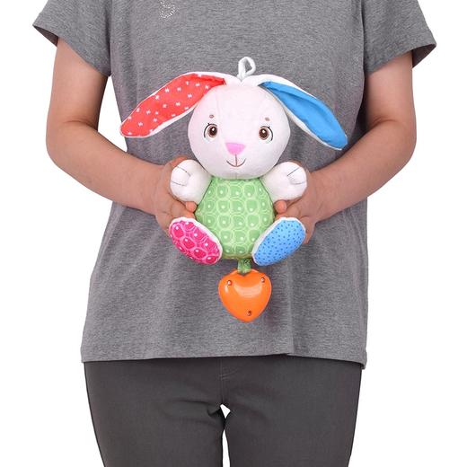 智高妈妈的爱-宾尼兔音乐盒00007930000000 商品图6