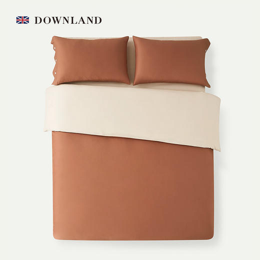 Downland Cosy Clean抑菌磨毛四件套 200*230cm[福利品] 商品图2