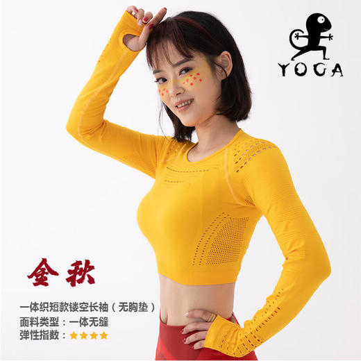 【现货秒发】2020国庆款【金秋】短款镂空高弹长袖T恤（无胸垫） 商品图0