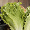 【蔬】生菜  一颗（约250g） 商品缩略图3