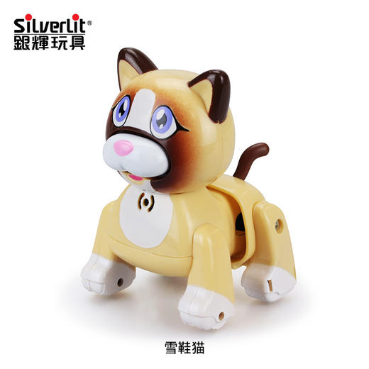 银辉知趣雪鞋猫885100CD00101 商品图0