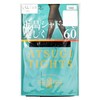 ATSUGI 厚木 秋夏薄款丝袜 60 L-LL 2双  ATS8560 日本 商品缩略图0