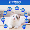 恩倍多猫藓外用药真菌猫癣药膏宠物专用 商品缩略图2