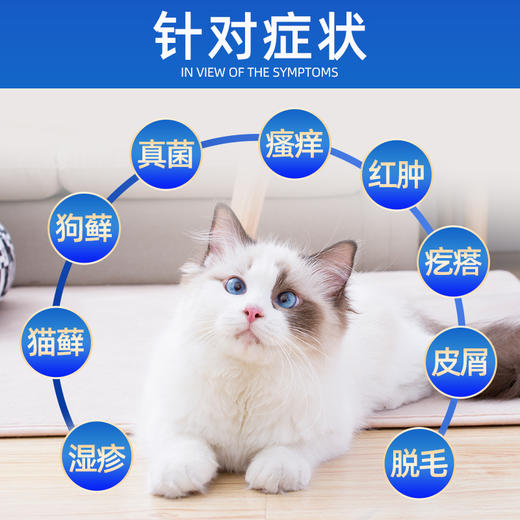 恩倍多猫藓外用药真菌猫癣药膏宠物专用 商品图2