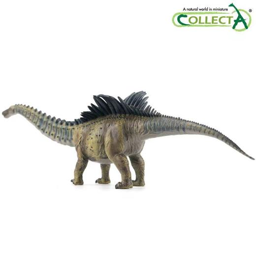 玩具Collecta我你他侏罗纪系列1：40奥古斯丁龙88246 商品图2