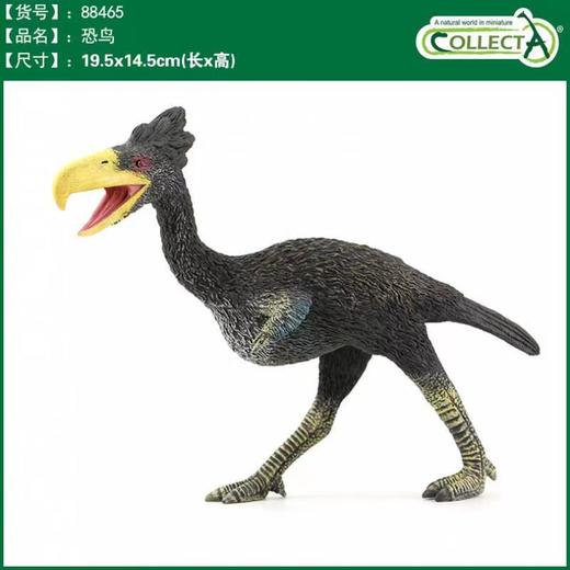 玩具Collecta我你他仿真史前动物1：20恐鸟88465 商品图0
